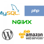 Standalone Nginx servers and WordPress – you decide?