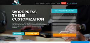 Top 10 WordPress Theme Customization Service Providers | Techno FAQ