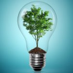How Eco-Friendly Is Your Online Business