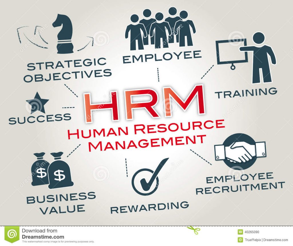 functions of human resource