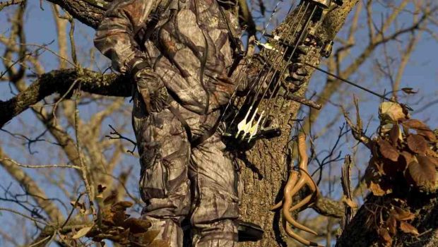 Deer Hunting: Tech Trends for High Places | Techno FAQ