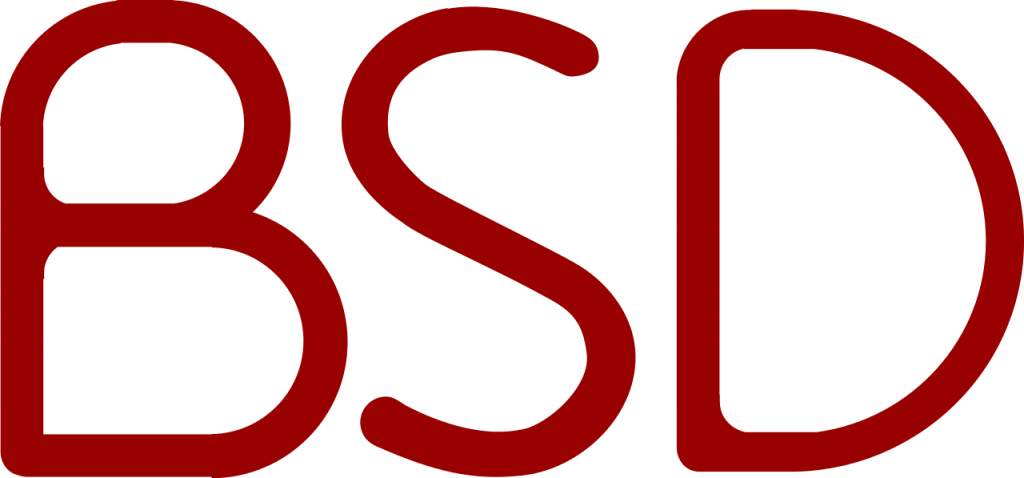 Bsd system hyundai