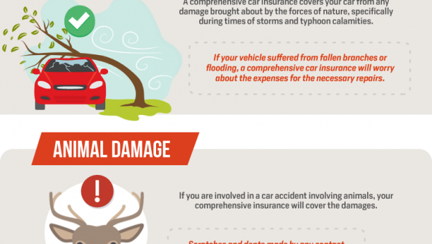 Car Insurance