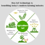 The Impact of IoT on Agriculture