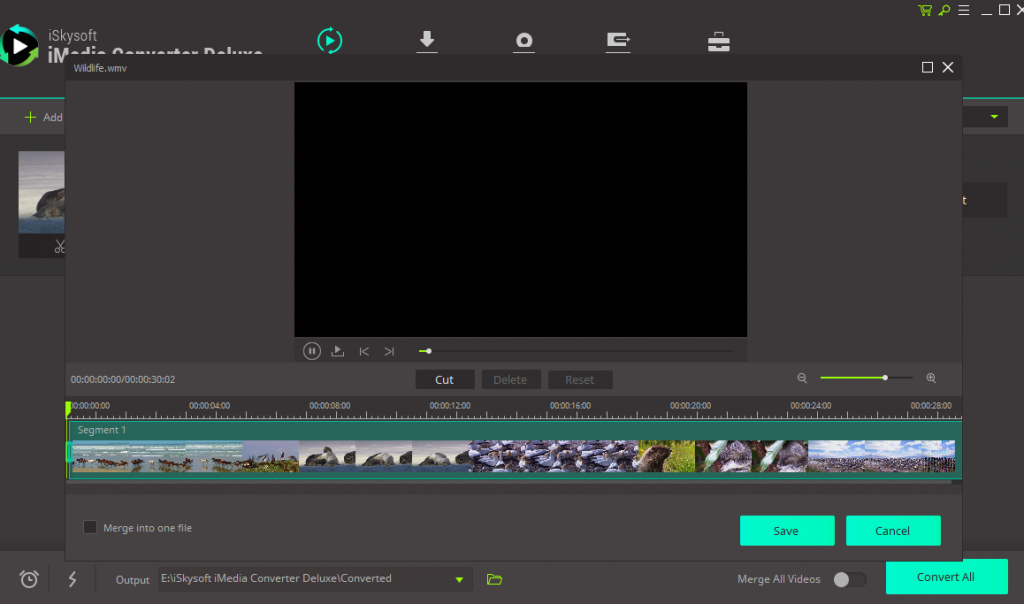 Iskysoft Imedia Converter Deluxe A All in One Mov to MP4 Video