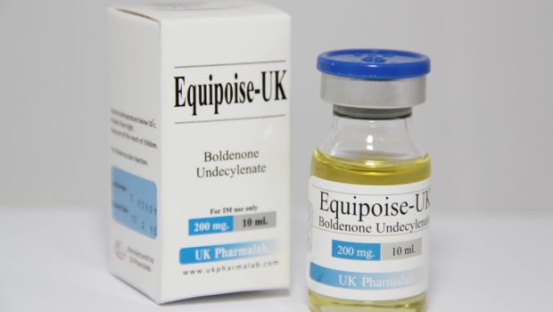 equipoise-620x350.jpg