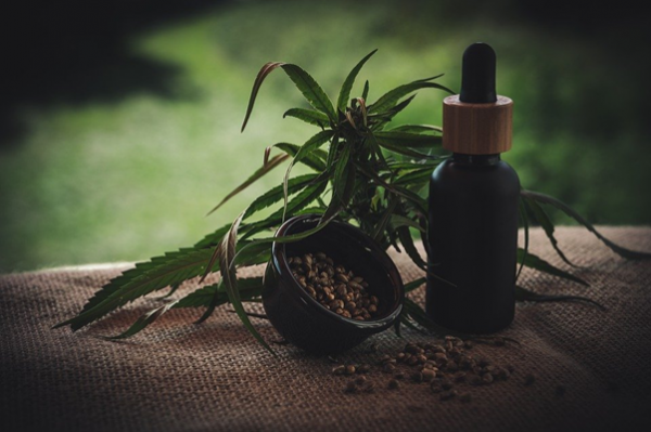 Who Can Benefit from Taking CBD Oil? | Techno FAQ