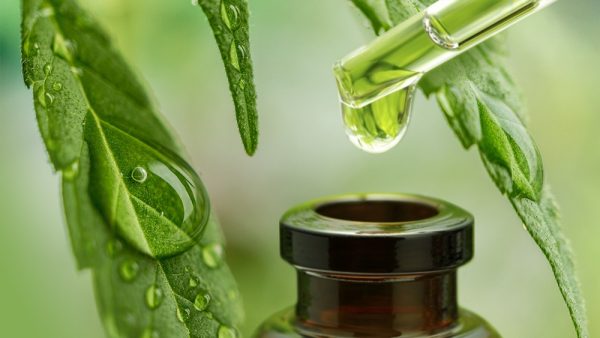 How is CBD hemp oil helpful in daily life? | Techno FAQ
