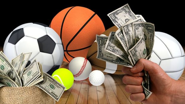 Freaksforum sports gambling forum las vegas