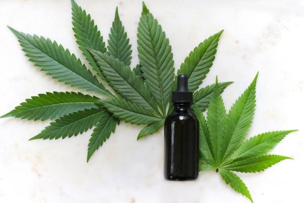 Image result for cannabis stocks unsplash