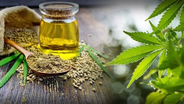 CBD Buying Tips: How To Find The Best CBD Oil On The Market | Techno FAQ