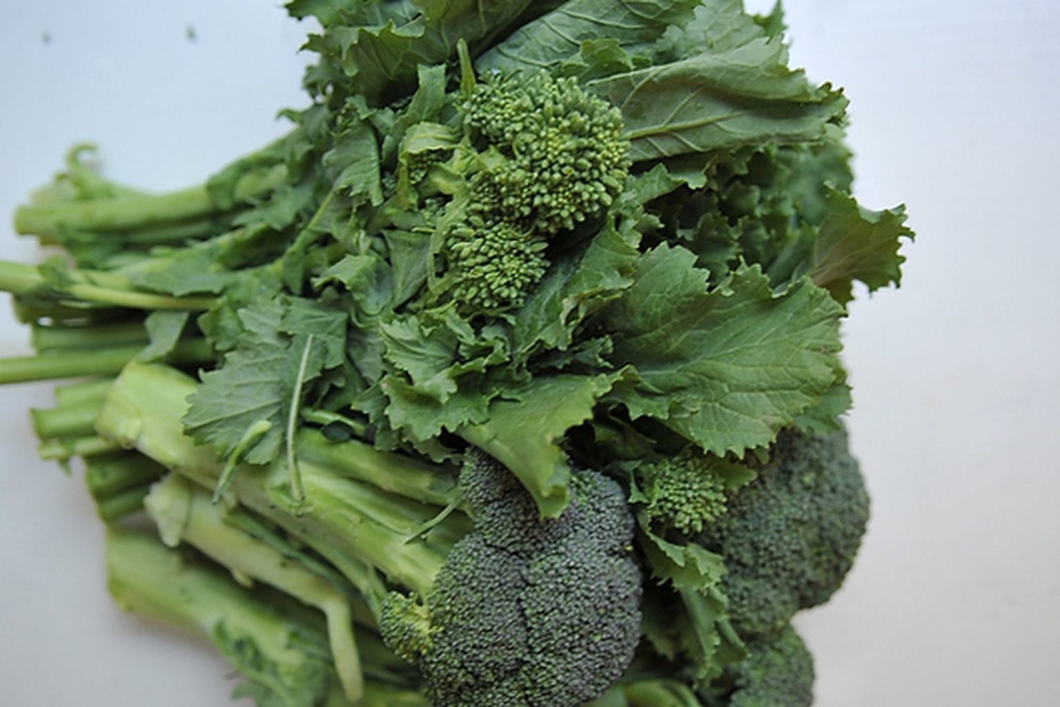 13 Types Of Greens To Nourish Up Your Meals Techno FAQ