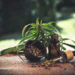 Six Predictions About CBD Market in 2021