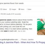 How to Rank For Google’s Featured Snippets