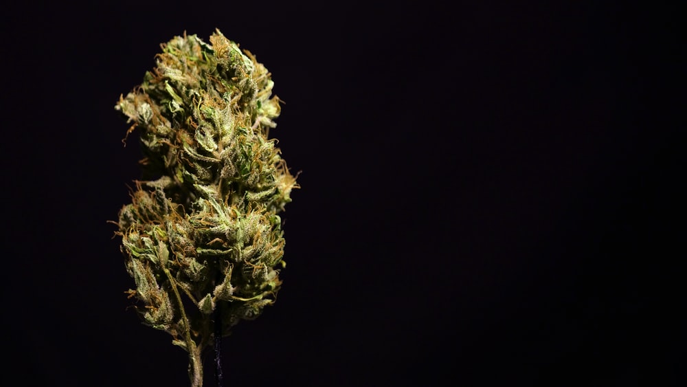 brown-and-green-kush.jpeg