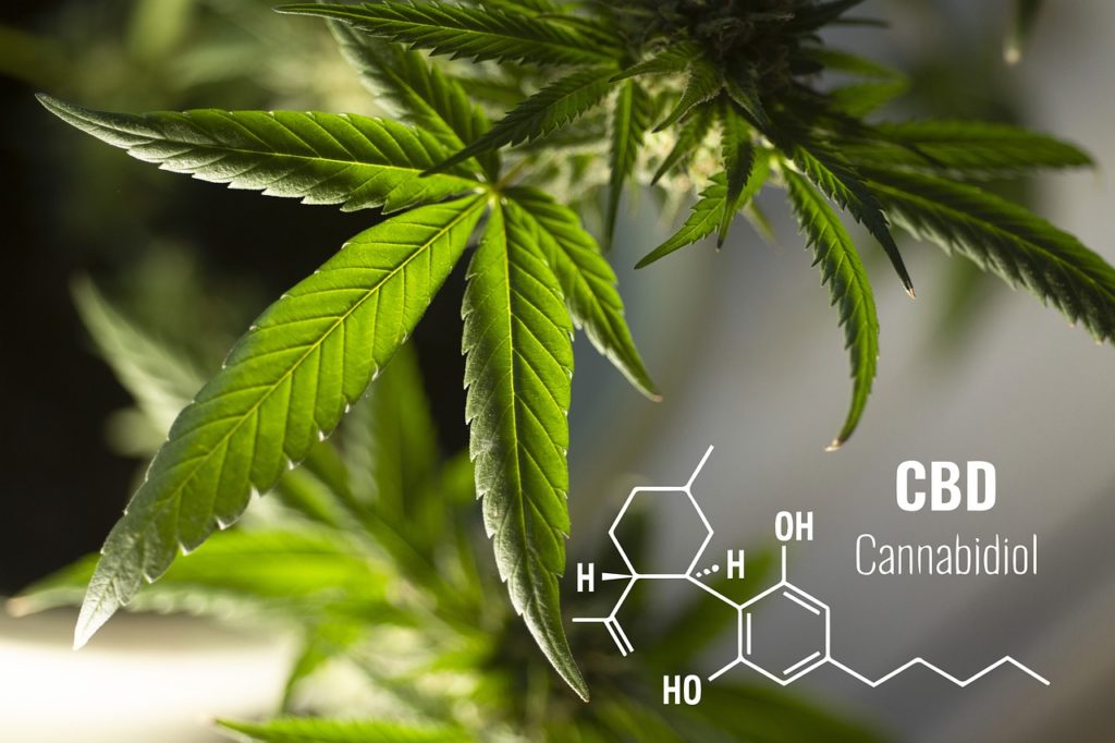 What\u2019s The Legal Status OF CBD In Dietary Supplements In The US ...