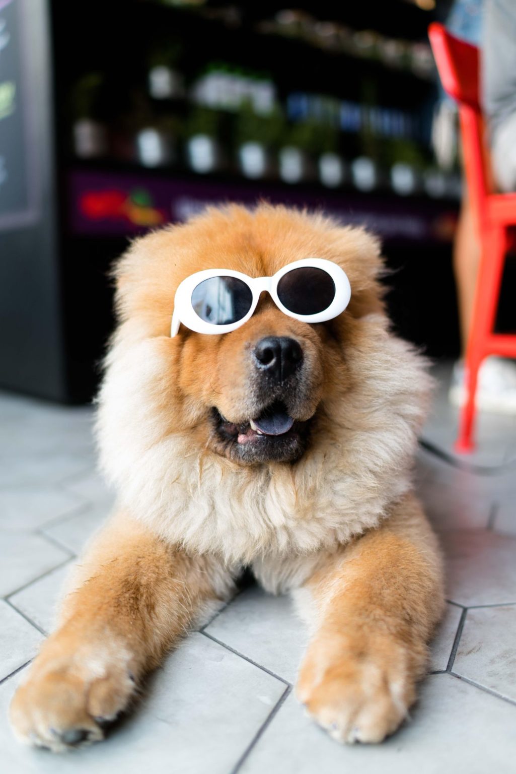 5 Things You Should Know Before Using Memes On Social Media Techno FAQ 5-things-you-should-know-before-using-memes-on-social-media-techno-faq