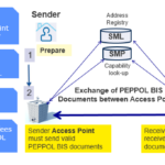 Full guide on Peppol access point