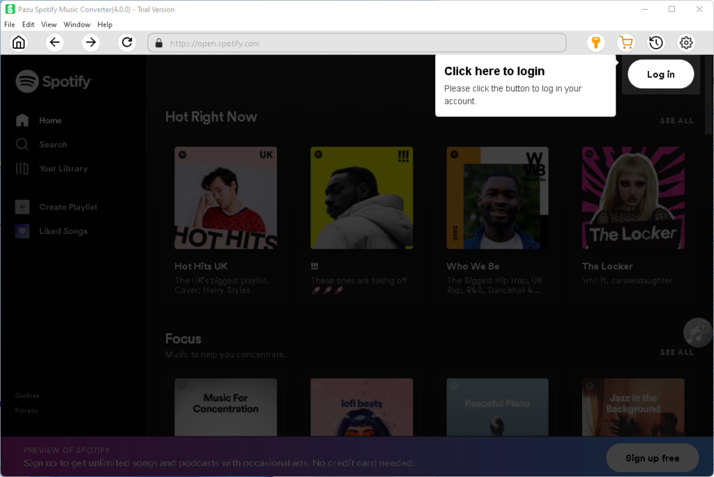 Spotify best sale online version