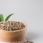 Choosing the Right Cannabis Seeds For Your Setup