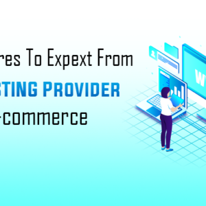 The Features to Expect From a Web Hosting Provider for an E-commerce Website