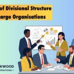 Role of Divisional Structure in Large Organisations